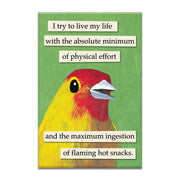 A refrigerator magnet with a yellow bird on a green background. Text also appears that says, "I try to live my life with the absolute minimum of physical effort and the maximum ingestion of flaming hots snacks."