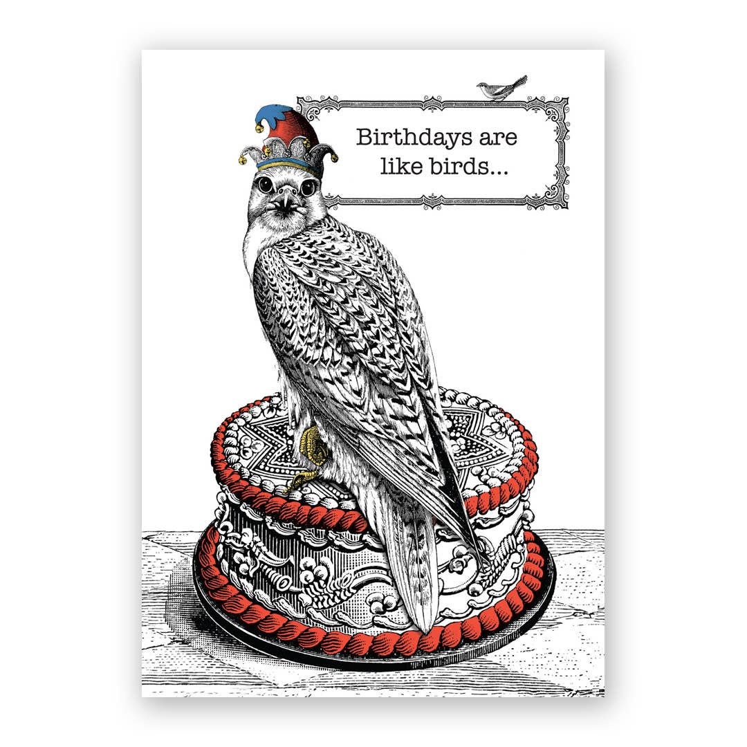 A birthday greeting card featuring a black and white illustration of a bird perched on a cake with the text "Birthdays are like birds..."