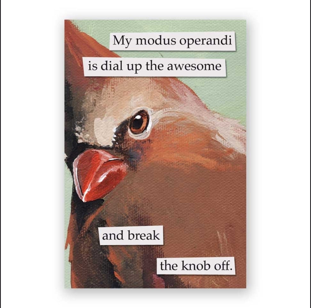 Magnet with a stylized illustration of a bird on a light green background, and text that reads, "My modus operandi is dial up the awesome and break the knob off."