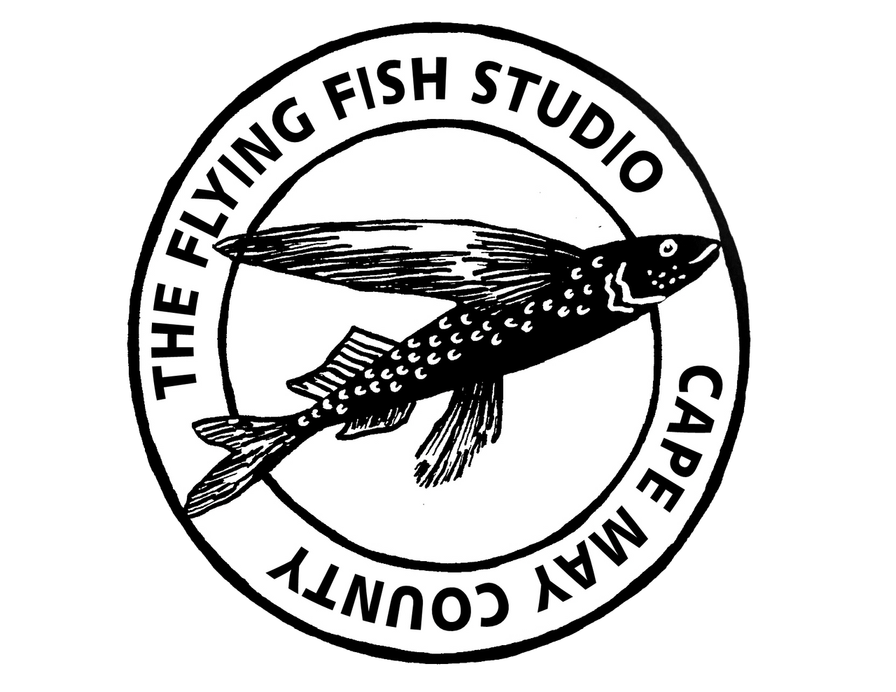 The Flying Fish Studio