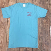 A mossy blue t-shirt with the words 'What's the Point?' on the left chest in red ink.